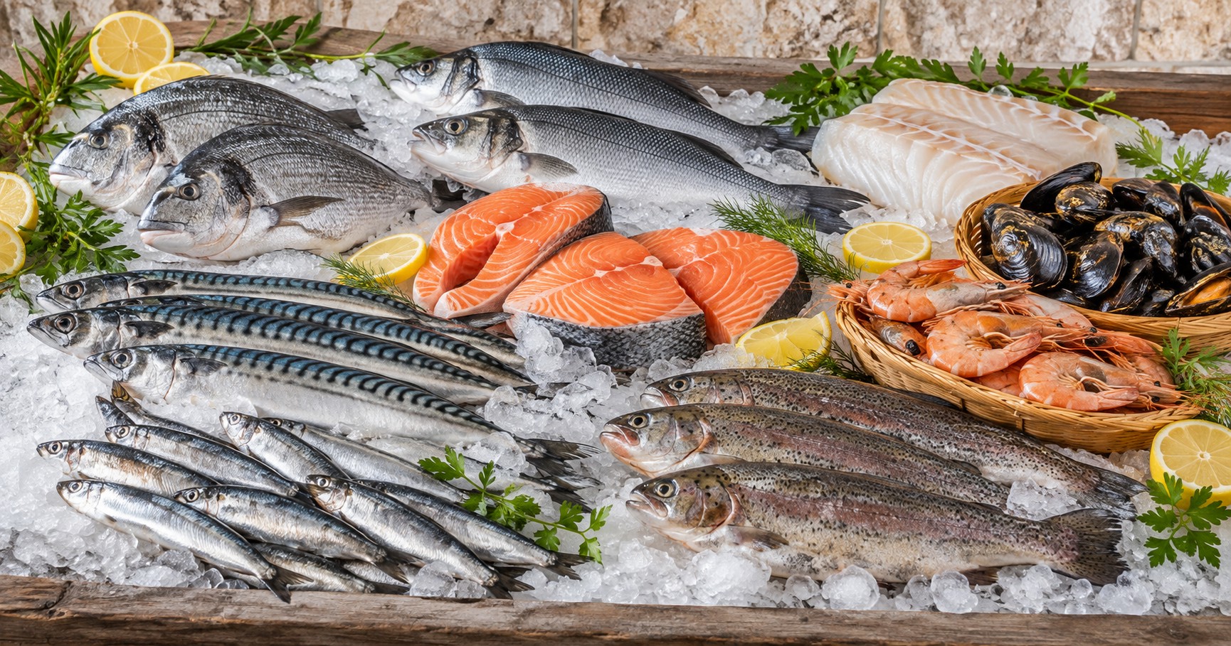Assortiment varié pour découvrir poissons au fil de l’année
