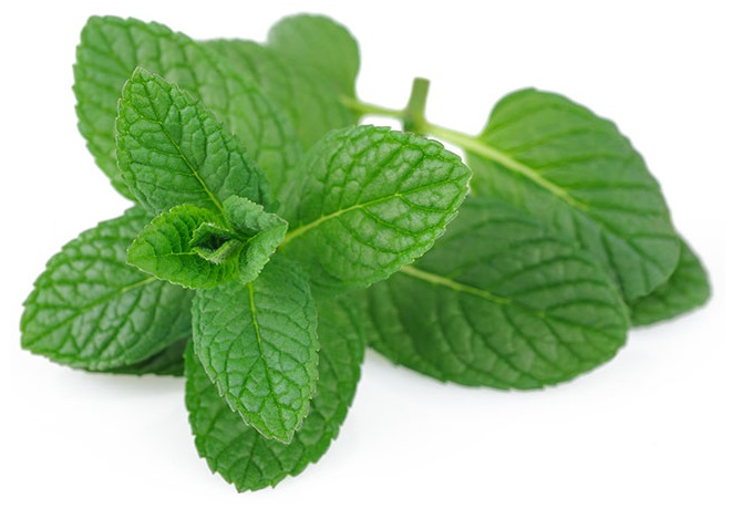 7 vertus et bienfaits de la feuille de menthe - FemininBio