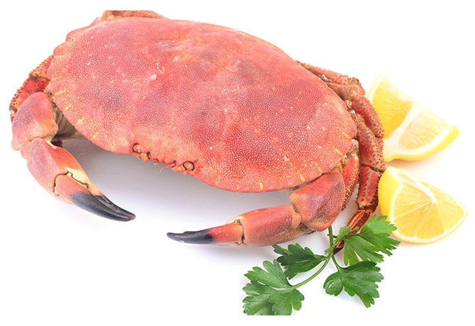 les bienfaits du crabe