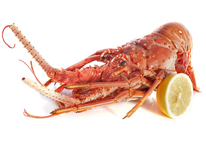 la langoustine