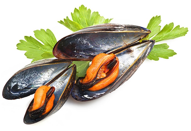 les bienfaits de la moule