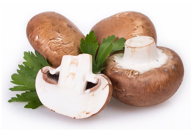 les bienfaits des champignons