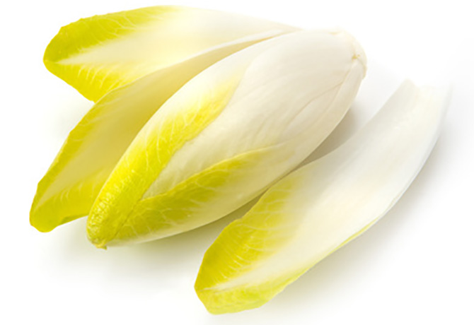 les bienfaits de l'endive