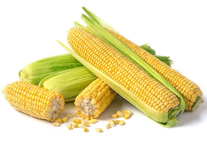 les bienfaits du maïs