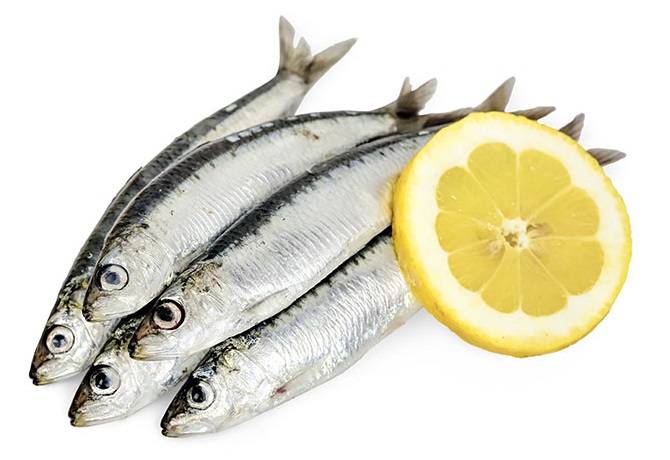 les bienfaits de la sardine
