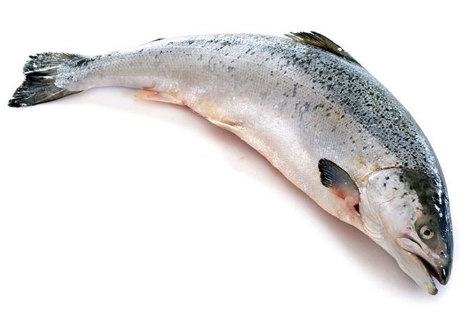 les bienfaits du saumon