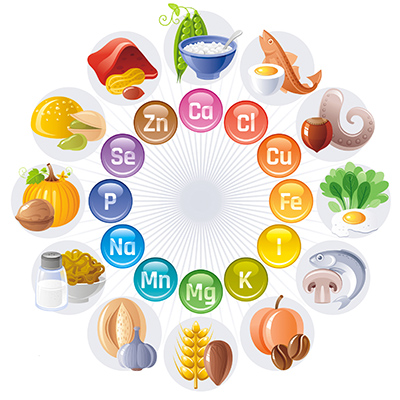 le guide des oligoelements