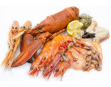 les fruits de mer au meilleur prix