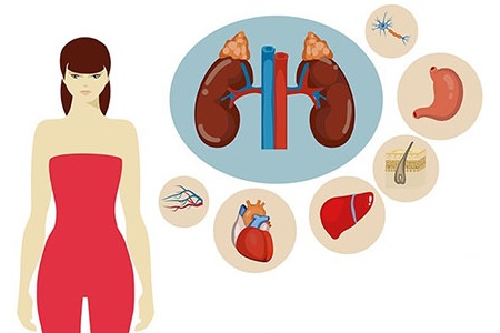 le role de la vitamine b5