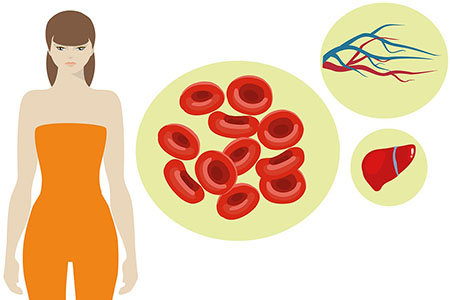 le role de la vitamine b6