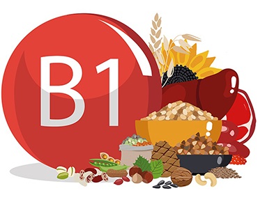 la vitamine b1 ou thiamine