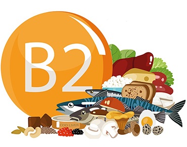 la vitamine B2 ou la riboflavine
