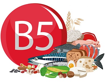 la vitamine B5 ou acide pantothénique