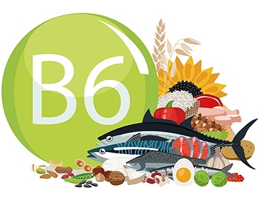 la vitamine B6 ou pyridoxine