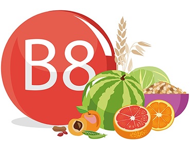 la vitamine B8 (biotine)