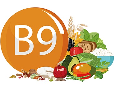 la vitamine B9 ou acide folique