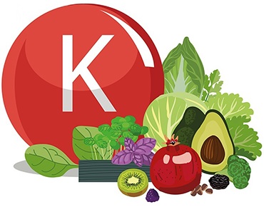 la Vitamine K (vitamine K1 ou phylloquinone - vitamine K2 ou ménaquinone)